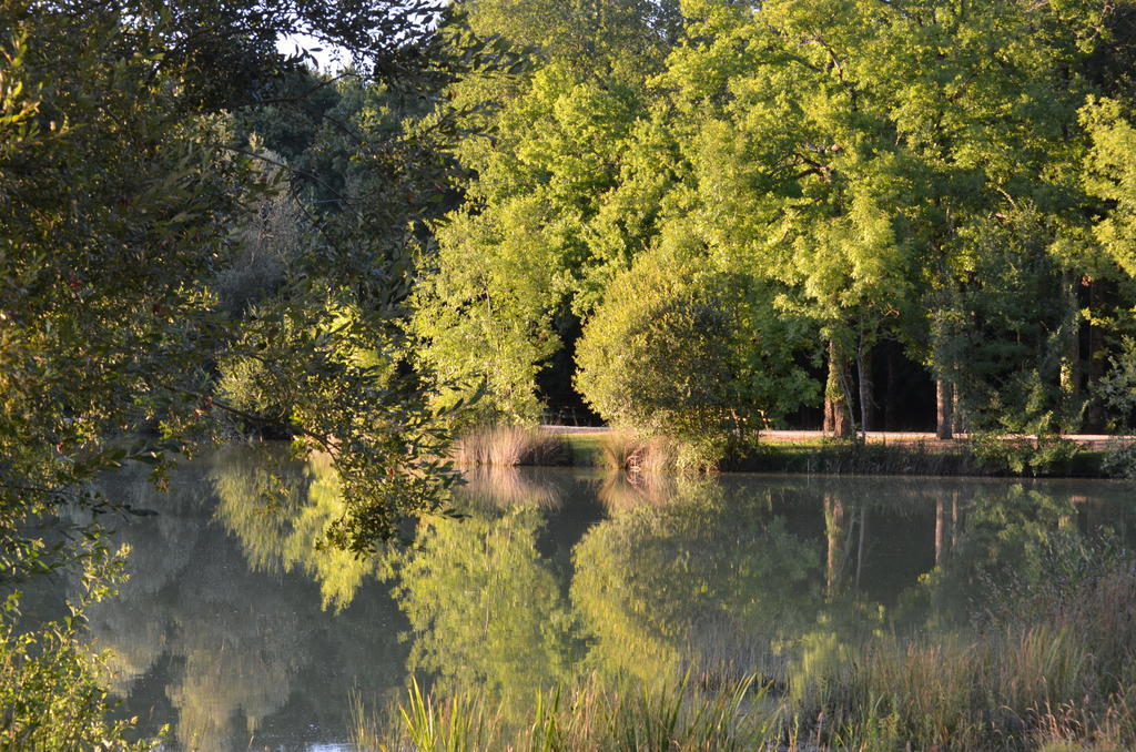 Chalet De La Heronniere Chef-Boutonne Luaran gambar